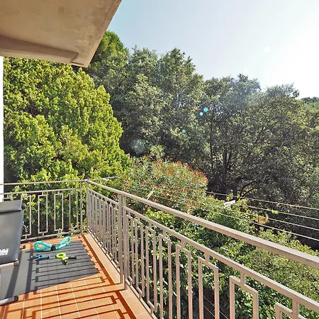 Sweet View Blue Of Patty 1 *