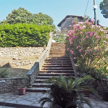 Sweet View Blue Of Patty 1 *