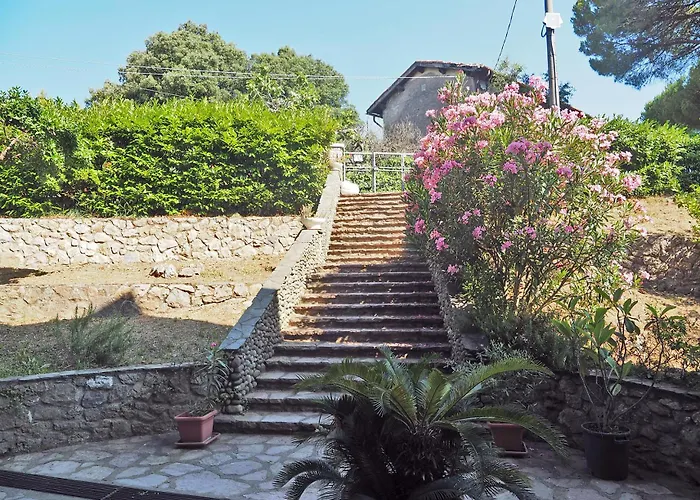 Sweet View Blue Of Patty 1 *